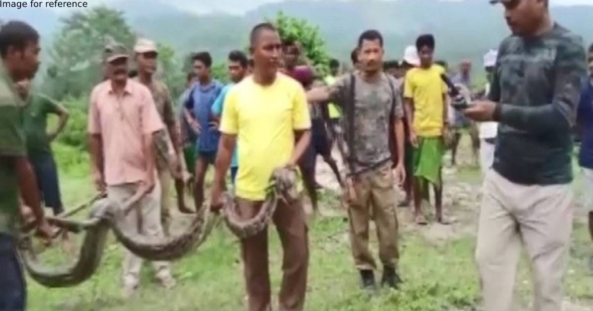 Assam: 12-feet-long python rescued in Baksa